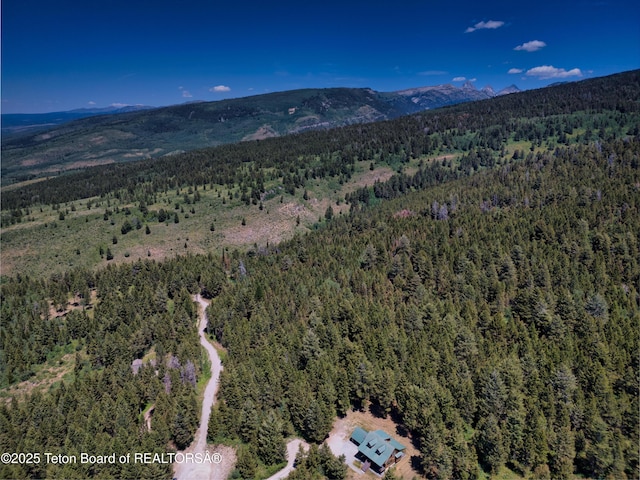 3550 Sorensen Creek Dr, Victor, ID 83455 - photo 22