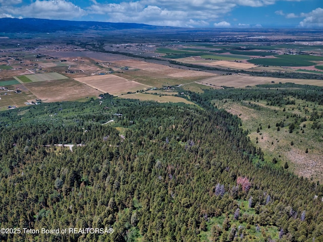 3550 Sorensen Creek Dr, Victor, ID 83455 - photo 23
