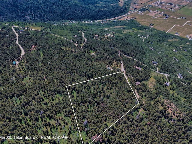 3550 Sorensen Creek Dr, Victor, ID 83455 - photo 25