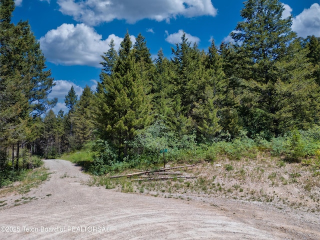 3550 Sorensen Creek Dr, Victor, ID 83455 - photo 6