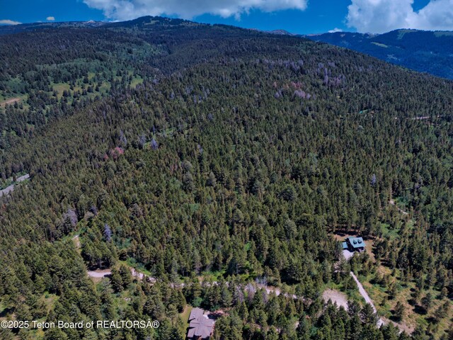 3550 Sorensen Creek Dr, Victor, ID 83455 - photo 26