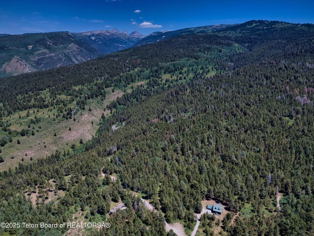 3550 Sorensen Creek Dr, Victor, ID 83455 - photo 27