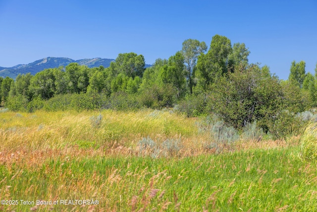 7865 Spoon Creek Dr, Victor, ID 83455 - photo 52