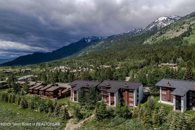 7120 N Rachel Way Unit 1-2, Teton Village, WY 83025 - photo 2