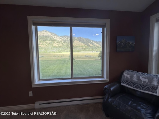 162 E St, Star Valley Ranch, WY 83127 - photo 17