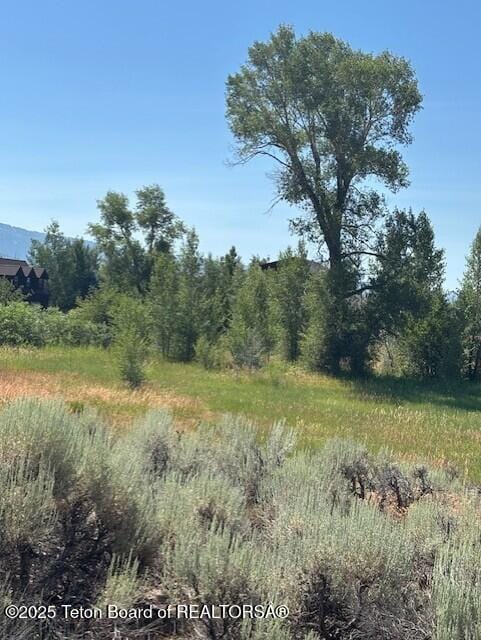 1121 Rainbow Loop, Driggs, ID 83422 - photo 1