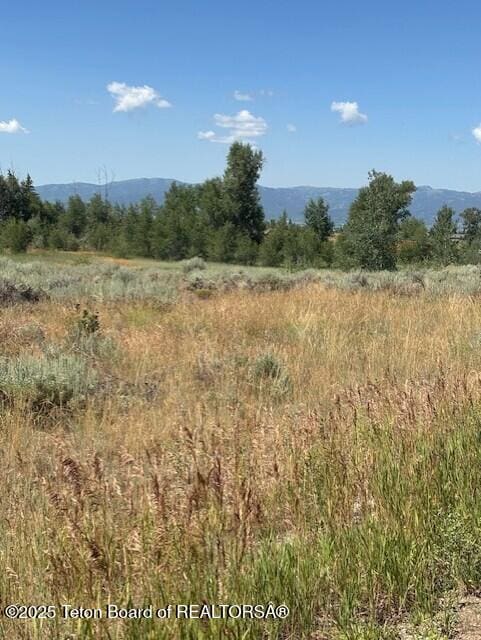 1121 Rainbow Loop, Driggs, ID 83422 - photo 5