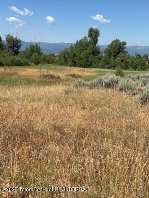 1121 Rainbow Loop, Driggs, ID 83422 - photo 9