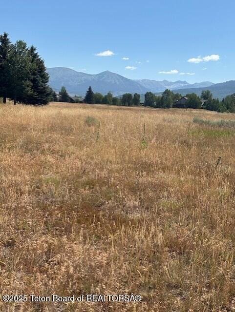 1121 Rainbow Loop, Driggs, ID 83422 - photo 10