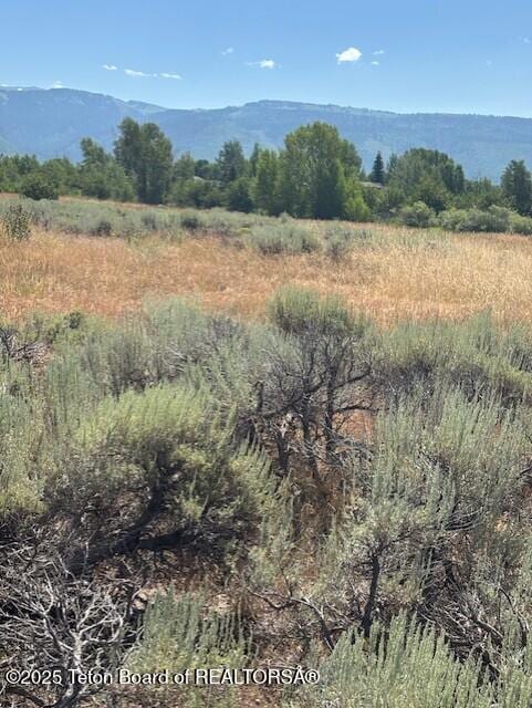 1121 Rainbow Loop, Driggs, ID 83422 - photo 11