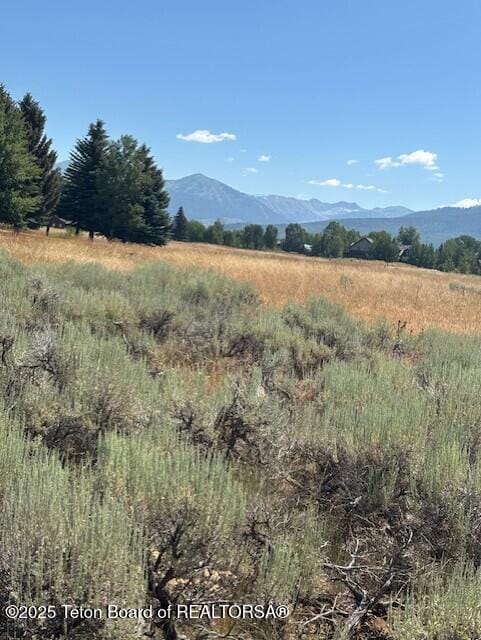 1121 Rainbow Loop, Driggs, ID 83422 - photo 12