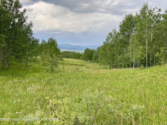 LOT28 Aspen Way, Prater Canyon, Thayne, WY 83127 - photo 1