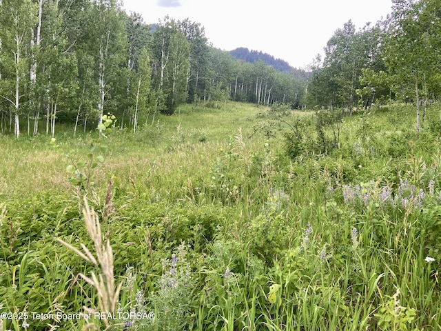 LOT28 Aspen Way, Prater Canyon, Thayne, WY 83127 - photo 2