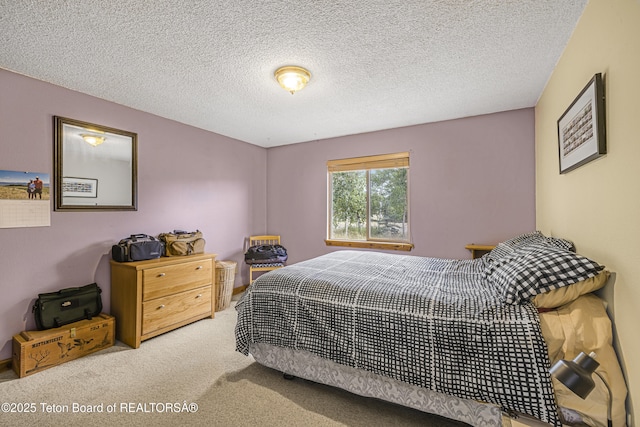 370 Leisure Ln, Driggs, ID 83422 - photo 22