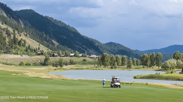14265 S Leader Ln, Jackson, WY 83001 - photo 1
