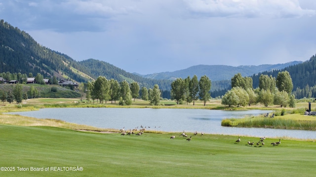 14265 S Leader Ln, Jackson, WY 83001 - photo 3