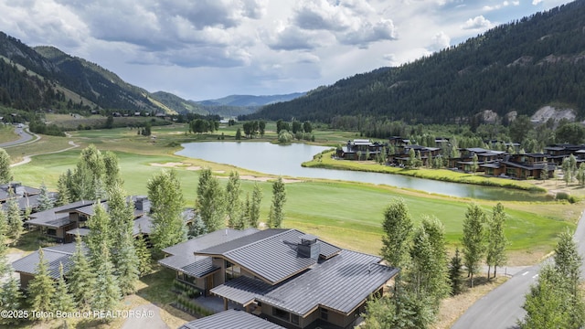 14265 S Leader Ln, Jackson, WY 83001 - photo 4