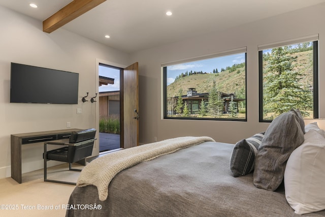 14265 S Leader Ln, Jackson, WY 83001 - photo 22