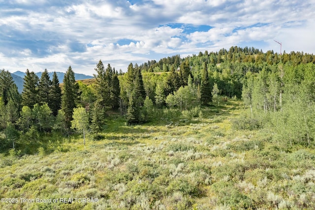 400 Red Tail Butte Rd, Jackson, WY 83001 - photo 25