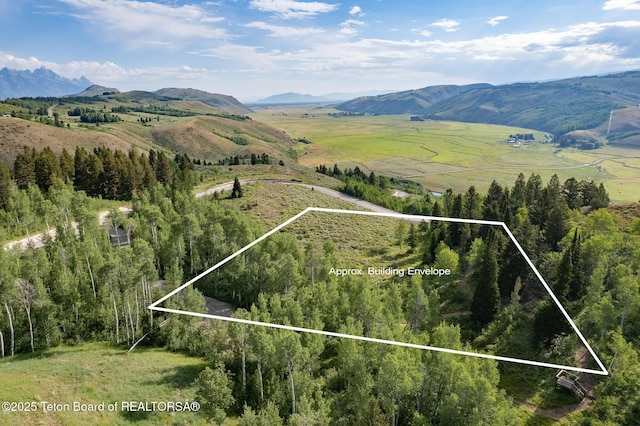 400 Red Tail Butte Rd, Jackson, WY 83001 - photo 4