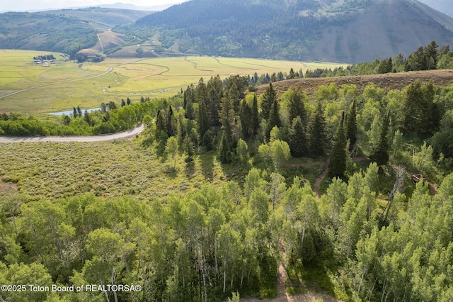 400 Red Tail Butte Rd, Jackson, WY 83001 - photo 26