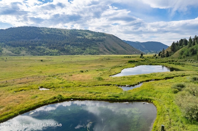 400 Red Tail Butte Rd, Jackson, WY 83001 - photo 10