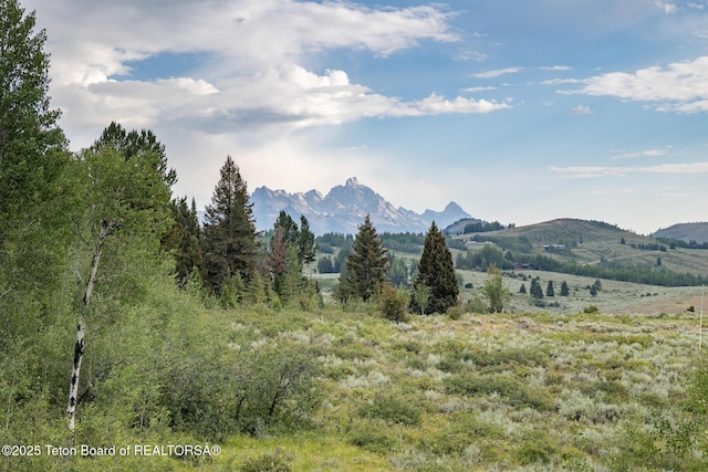 400 Red Tail Butte Rd, Jackson, WY 83001 - photo 5