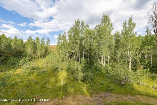 400 Red Tail Butte Rd, Jackson, WY 83001 - photo 12