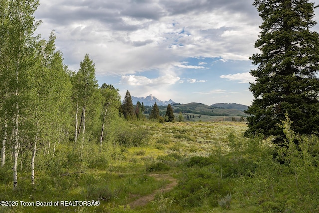 400 Red Tail Butte Rd, Jackson, WY 83001 - photo 13