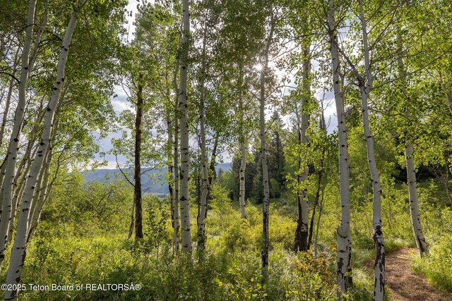 400 Red Tail Butte Rd, Jackson, WY 83001 - photo 16