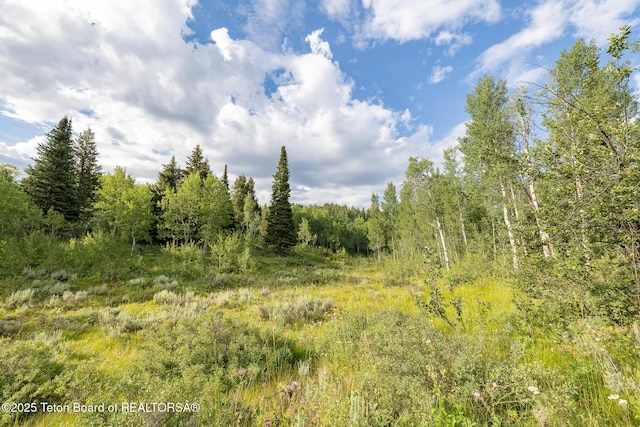 400 Red Tail Butte Rd, Jackson, WY 83001 - photo 17