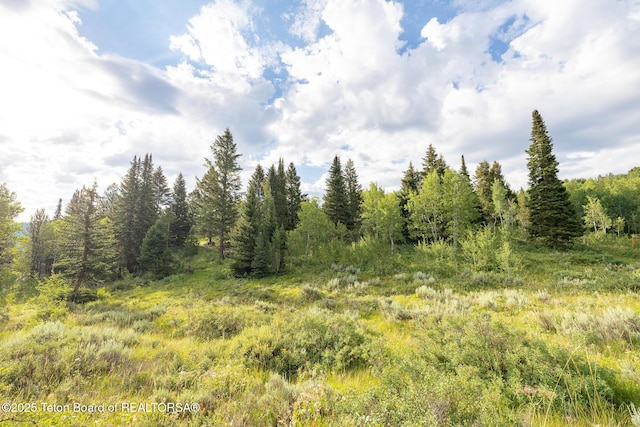 400 Red Tail Butte Rd, Jackson, WY 83001 - photo 18