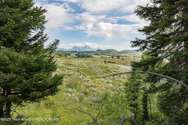 400 Red Tail Butte Rd, Jackson, WY 83001 - photo 19