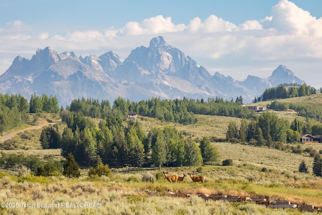 400 Red Tail Butte Rd, Jackson, WY 83001 - photo 2