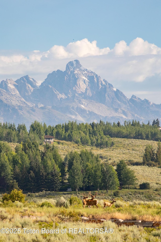 400 Red Tail Butte Rd, Jackson, WY 83001 - photo 27