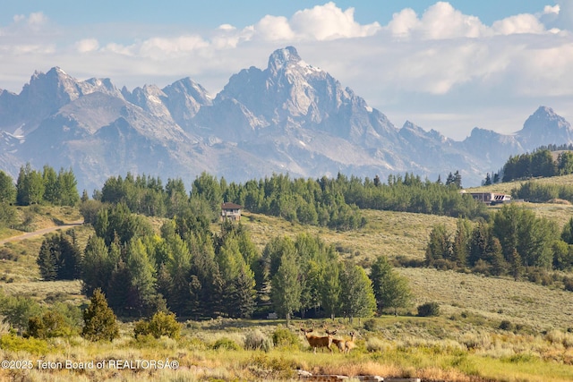 400 Red Tail Butte Rd, Jackson, WY 83001 - photo 1