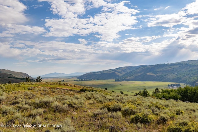 400 Red Tail Butte Rd, Jackson, WY 83001 - photo 21