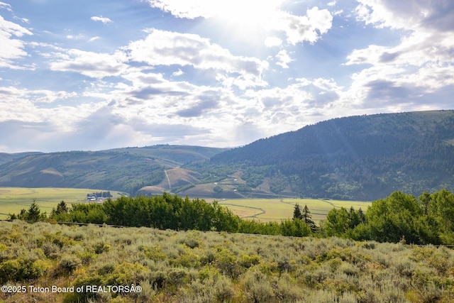 400 Red Tail Butte Rd, Jackson, WY 83001 - photo 22