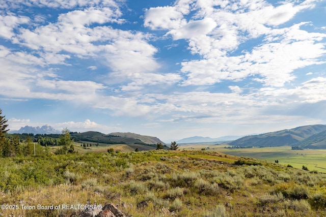 400 Red Tail Butte Rd, Jackson, WY 83001 - photo 23