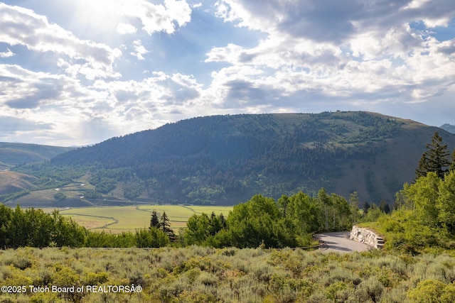 400 Red Tail Butte Rd, Jackson, WY 83001 - photo 24