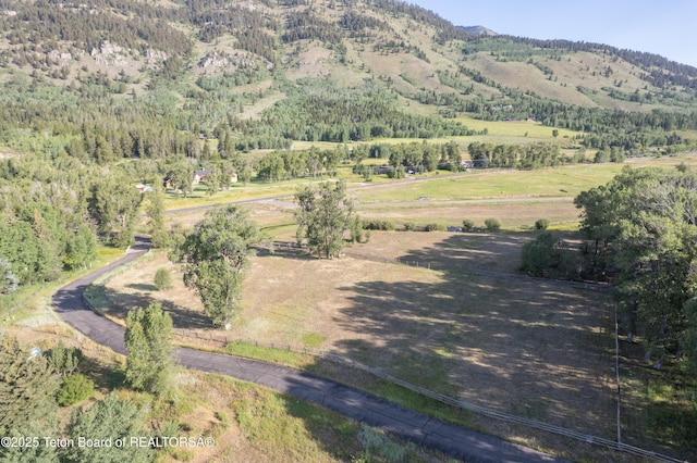 5405 W Ulysses Ln, Wilson, WY 83014 - photo 12
