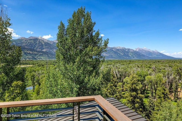 1400 N Iron Rock Rd, Jackson, WY 83001 - photo 29
