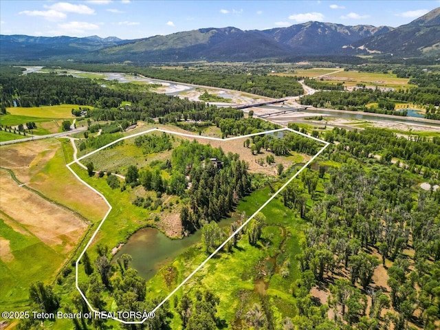 1400 N Iron Rock Rd, Jackson, WY 83001 - photo 37