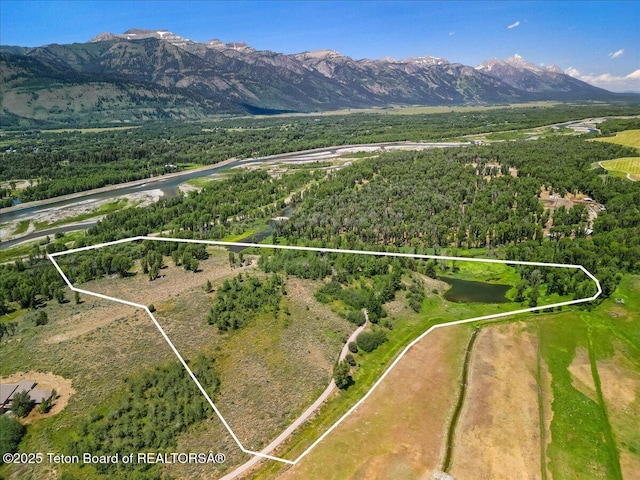 1400 N Iron Rock Rd, Jackson, WY 83001 - photo 38