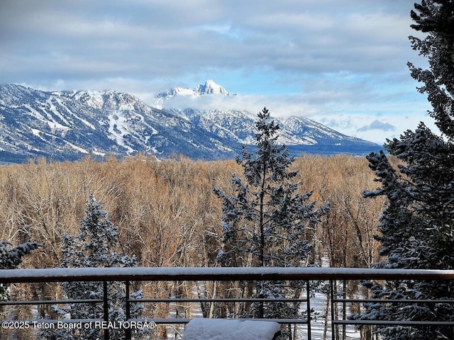 1400 N Iron Rock Rd, Jackson, WY 83001 - photo 40