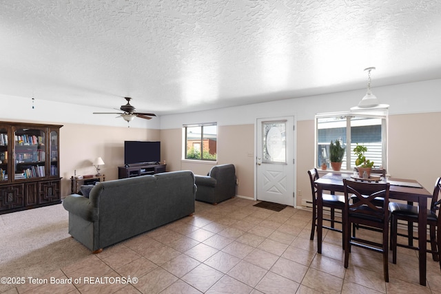 500 Snake River Dr Unit 2, Alpine, WY 83128 - photo 11