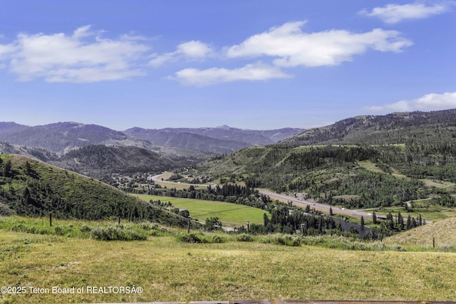 7585 S Squaw Creek Rd, Jackson, WY 83001 - photo 20
