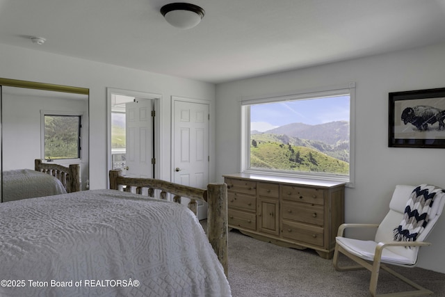 7585 S Squaw Creek Rd, Jackson, WY 83001 - photo 25