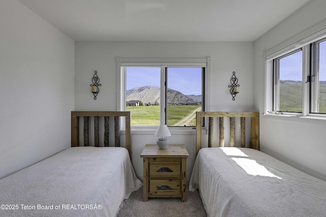 7585 S Squaw Creek Rd, Jackson, WY 83001 - photo 28