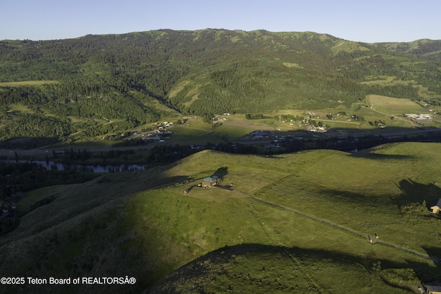 7585 S Squaw Creek Rd, Jackson, WY 83001 - photo 4